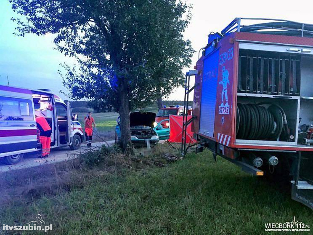 Pracowity weekend dla wszystkich służb ratunkowych w regionie
