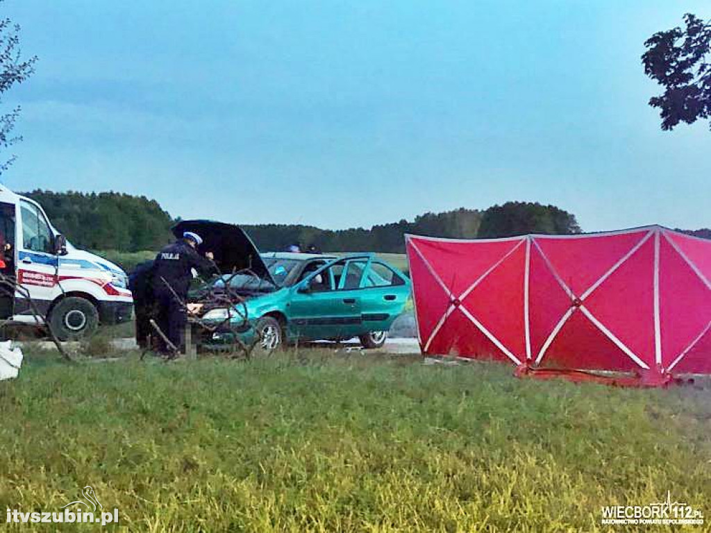 Pracowity weekend dla wszystkich służb ratunkowych w regionie
