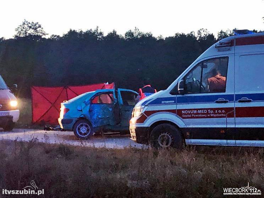 Pracowity weekend dla wszystkich służb ratunkowych w regionie