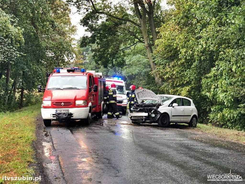 Pracowity weekend dla wszystkich służb ratunkowych w regionie