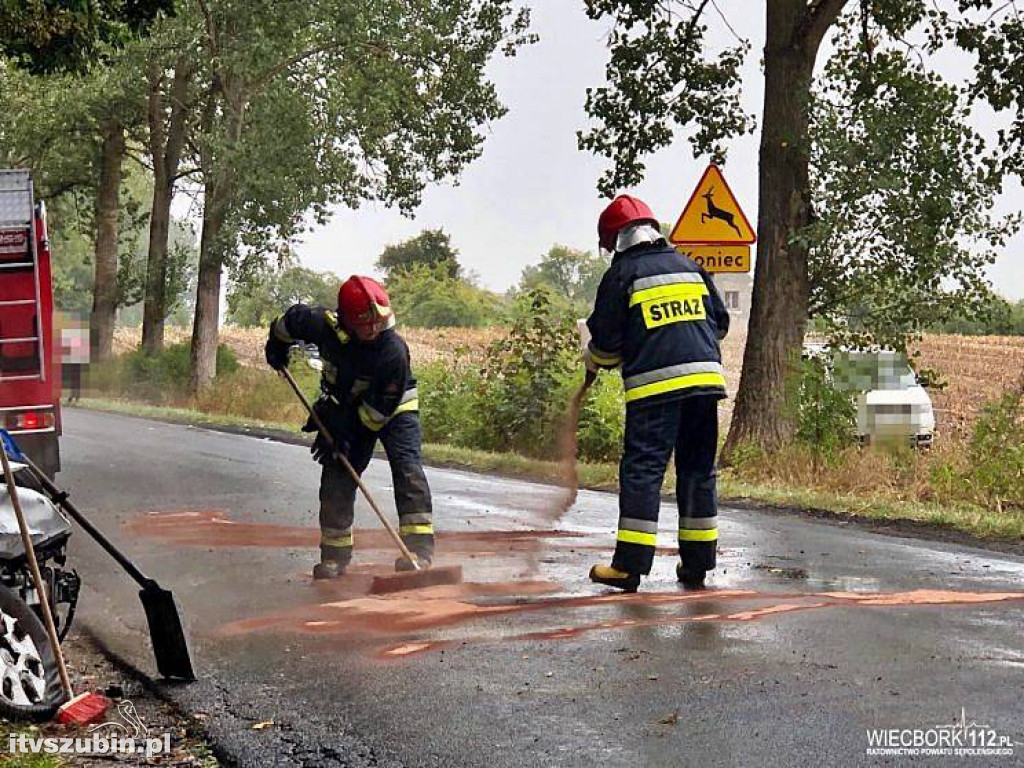 Pracowity weekend dla wszystkich służb ratunkowych w regionie