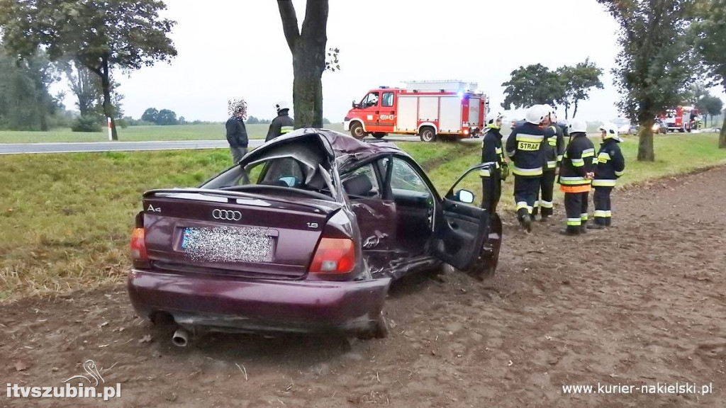 Pracowity weekend dla wszystkich służb ratunkowych w regionie