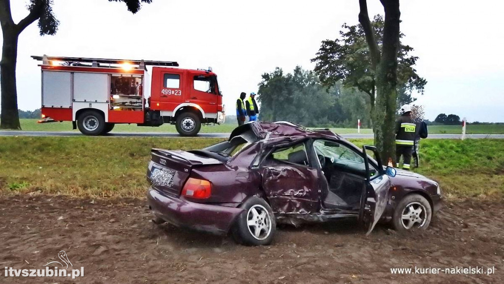 Pracowity weekend dla wszystkich służb ratunkowych w regionie