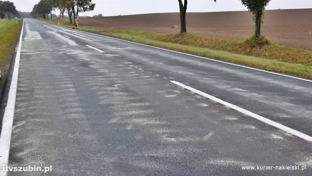 Pracowity weekend dla wszystkich służb ratunkowych w regionie