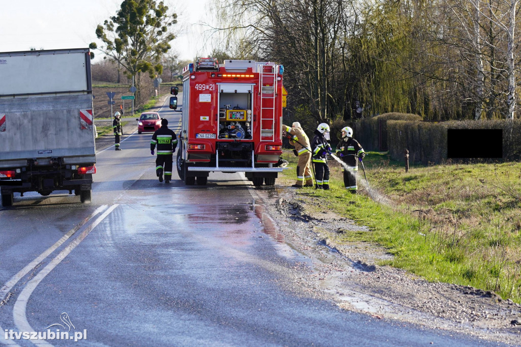Odpady mięsne na DK 5 usuwali szubińscy strażacy