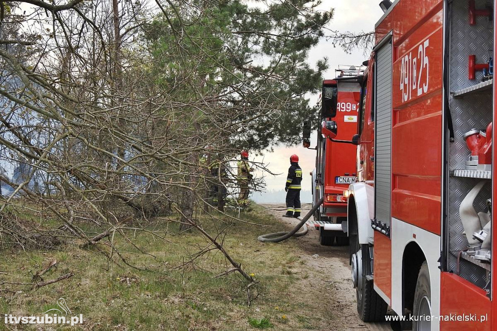Pożar lasu w Paterku