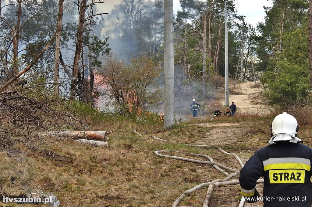 Pożar lasu w Paterku
