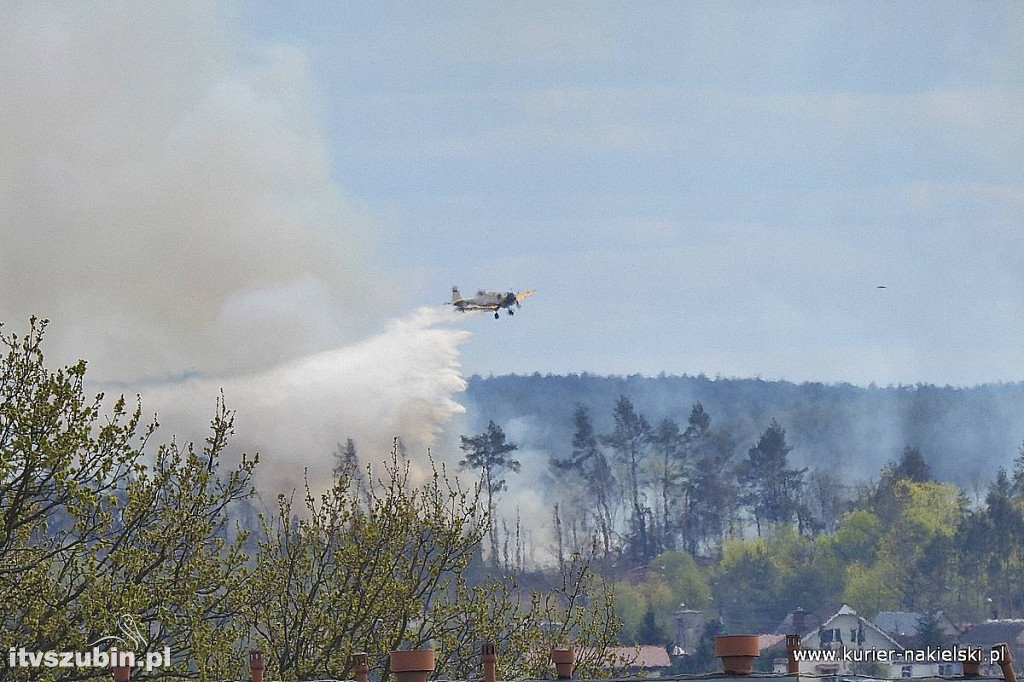 Pożar lasu w Paterku