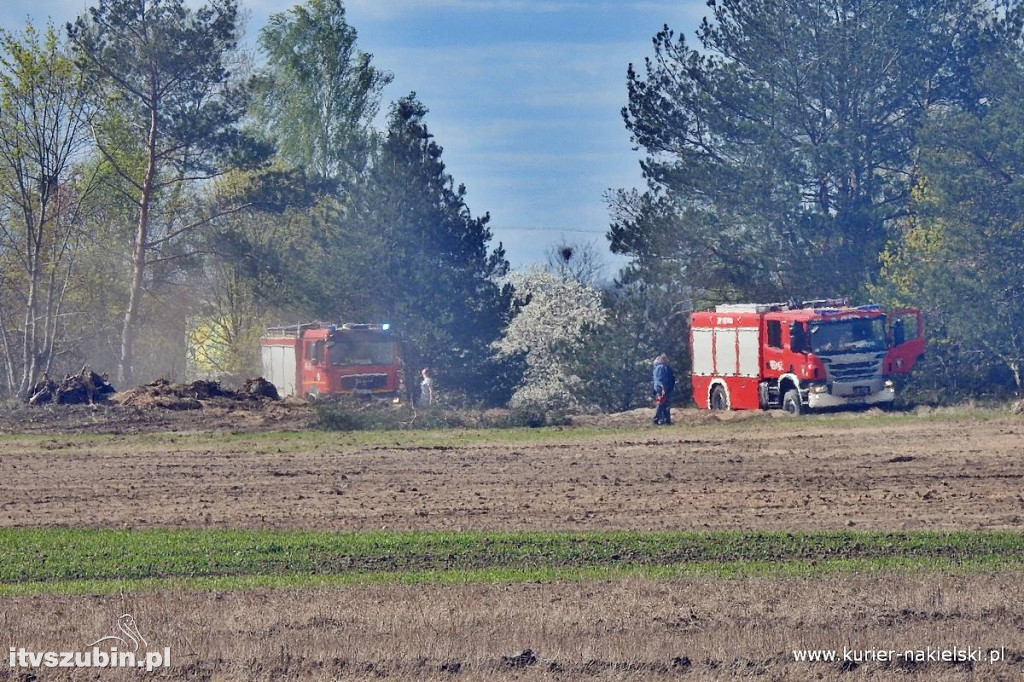 Pożar lasu w Paterku