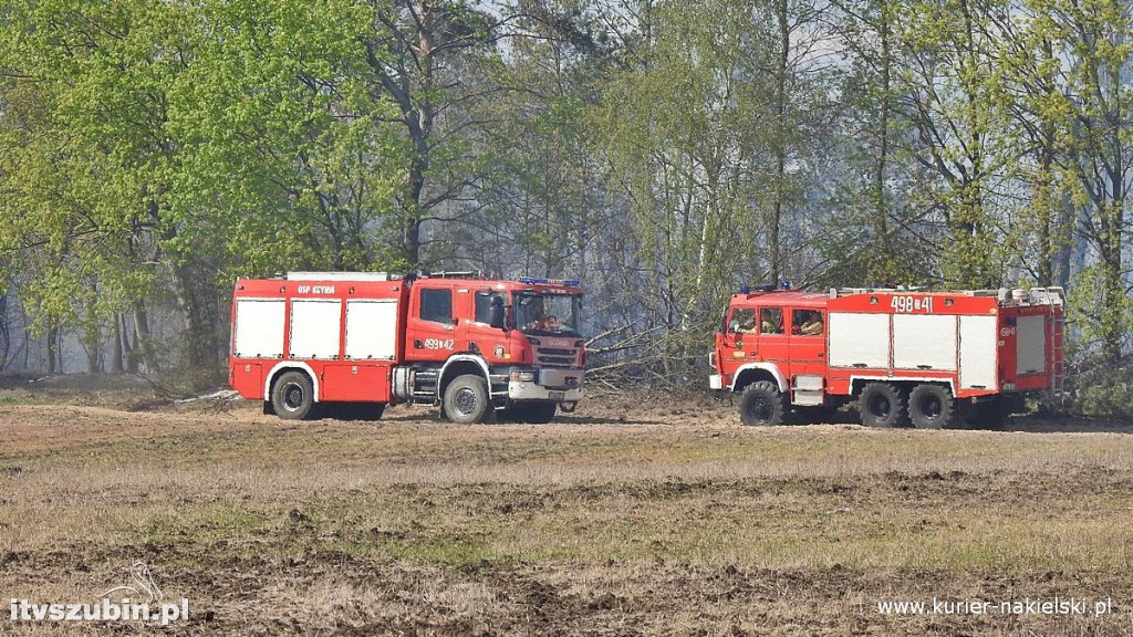Pożar lasu w Paterku