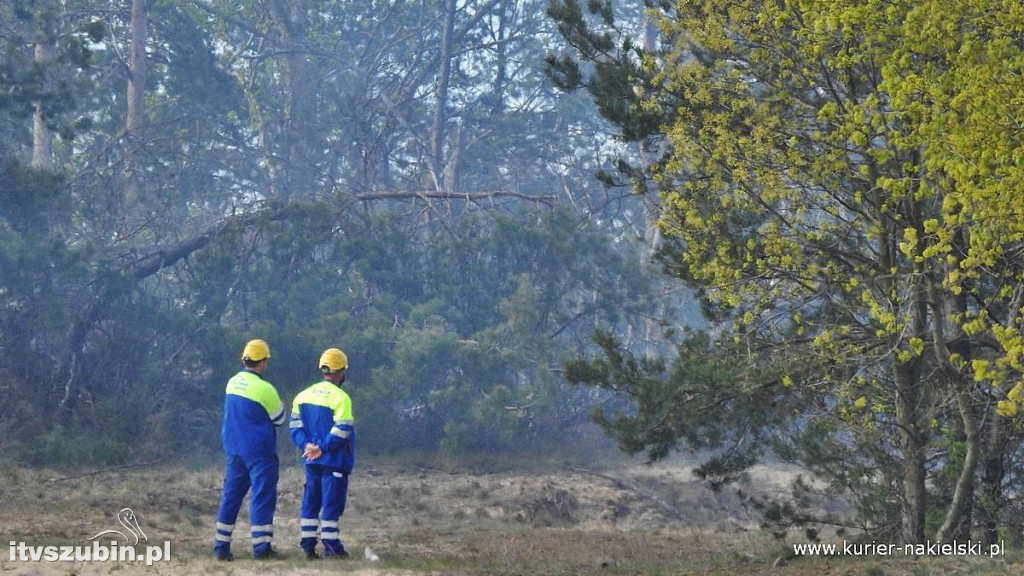 Pożar lasu w Paterku