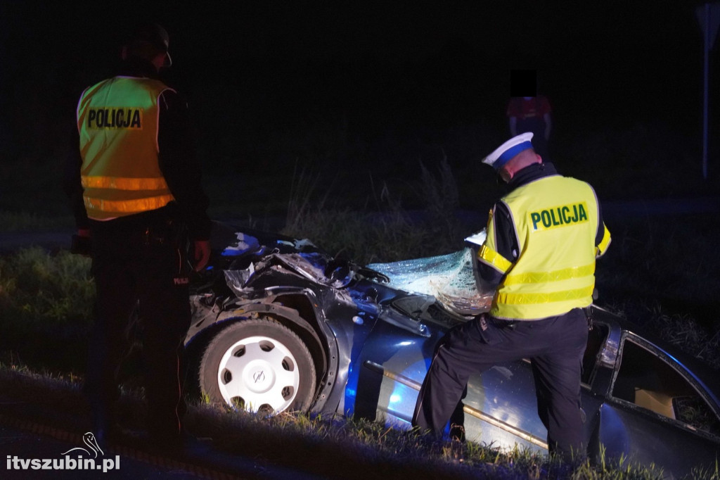 Wypadek w miejscowości Amerczyka, DW247