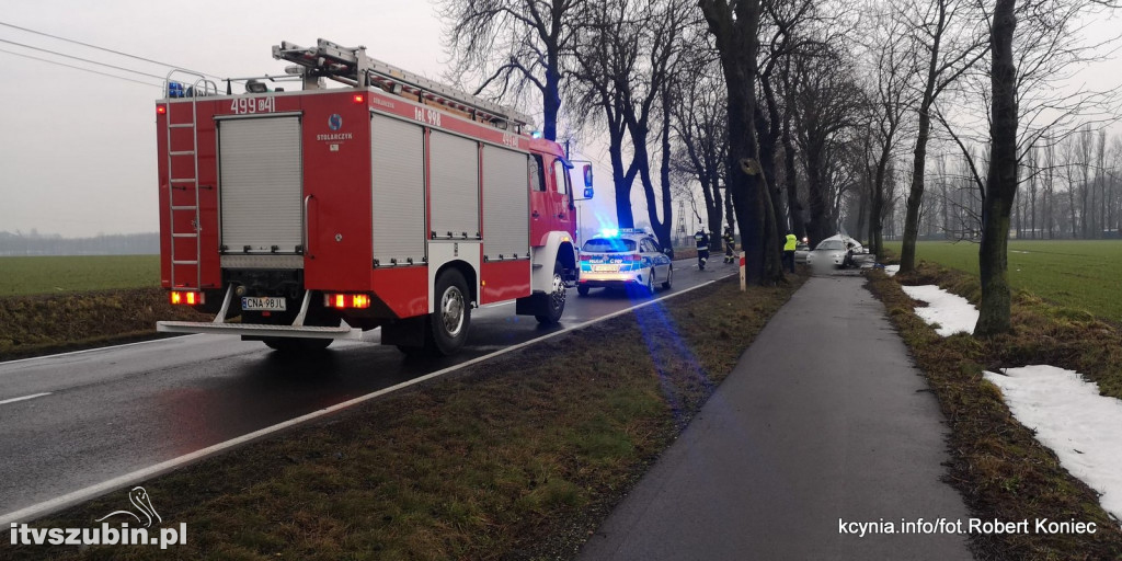 Uderzyła w drzewo na ul. Poznańskiej w Kcyni