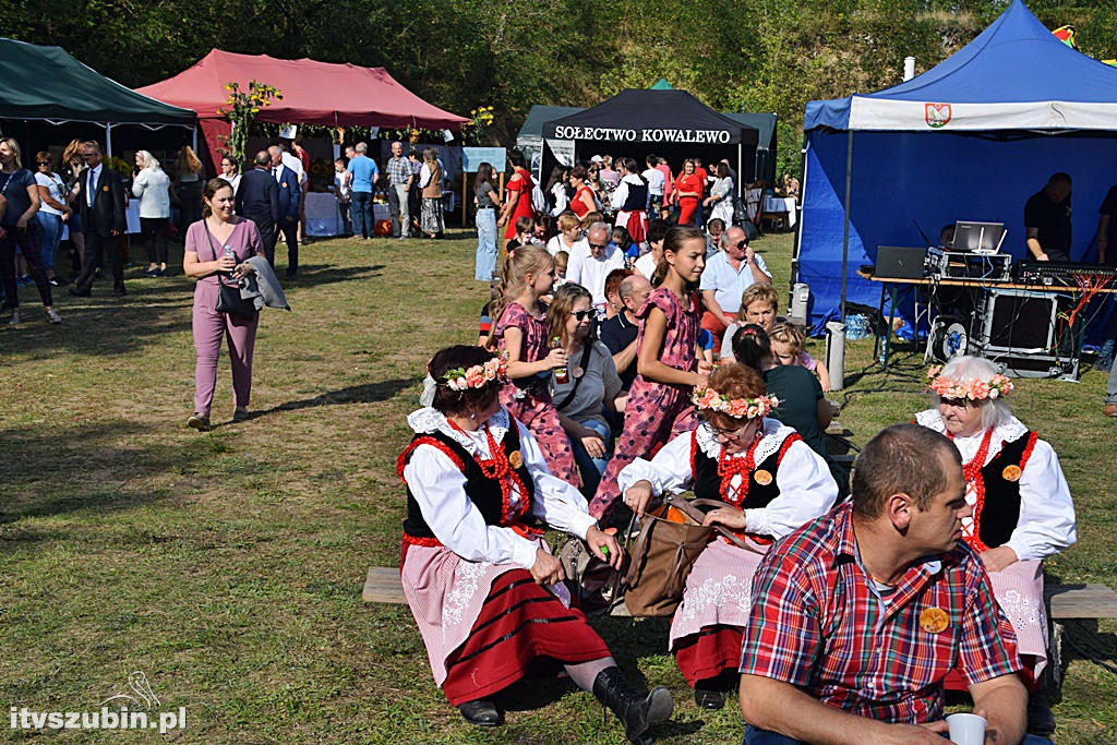 Dożynki Powiatowo-Gminne w Ciężkowie