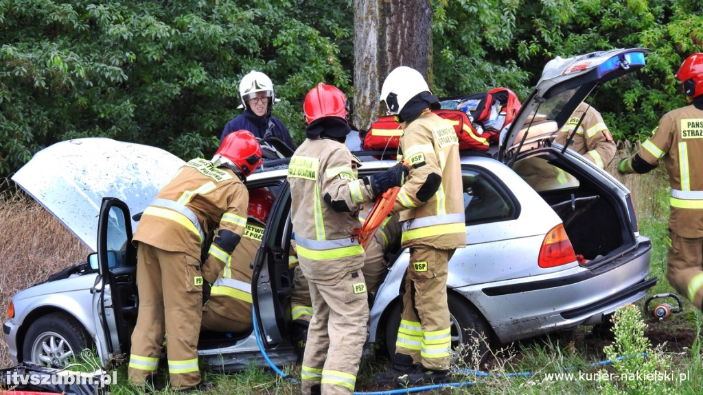 BMW uderzyło w drzewo na DW 246