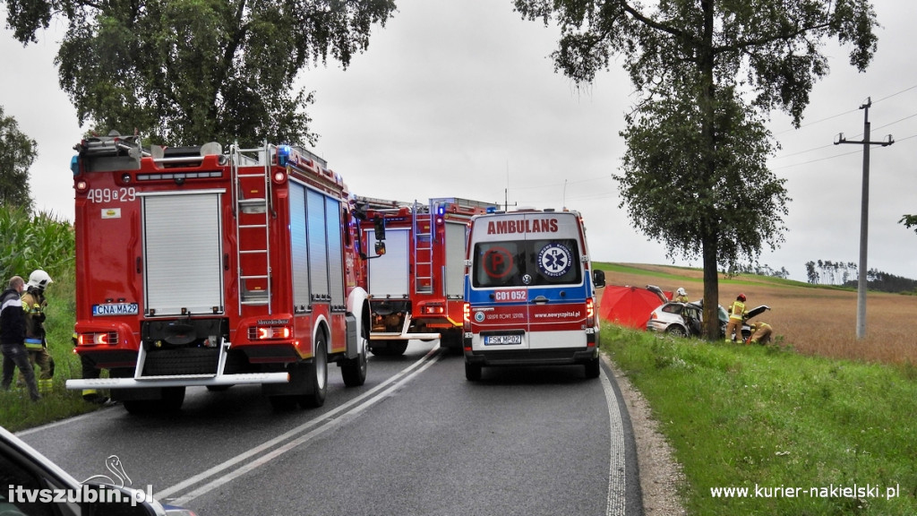 BMW uderzyło w drzewo na DW 246