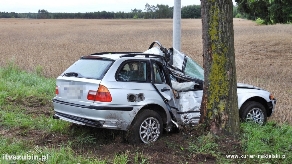 BMW uderzyło w drzewo na DW 246