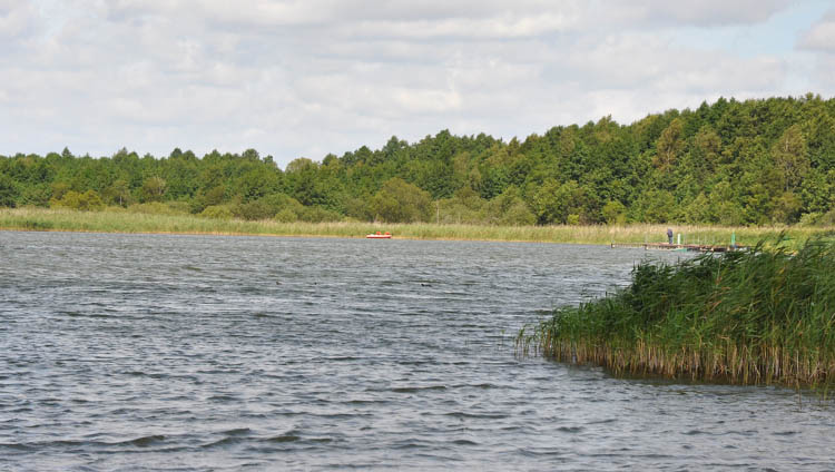 Trwają poszukiwania 29 letniego mężczyzny na jez. Gąbin.