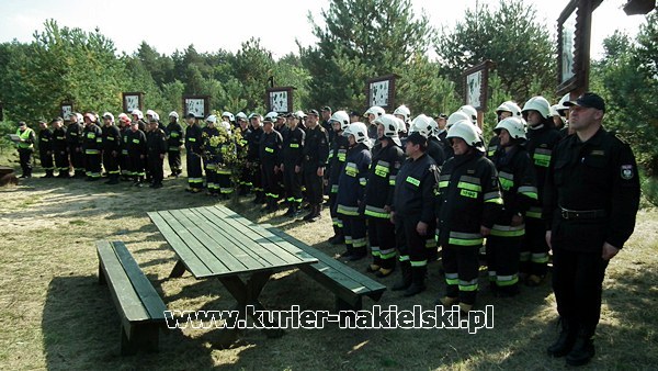 Ćwiczenia KOBRA-2011