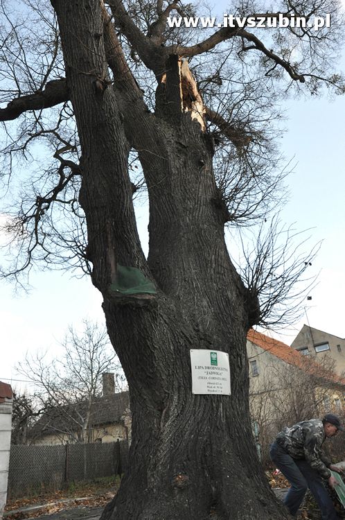 Pracowita noc Służb Mundurowych 