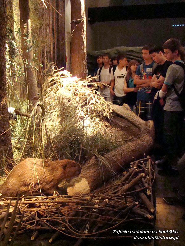 Gimnazjaliści w Górach Świętokrzyskich 