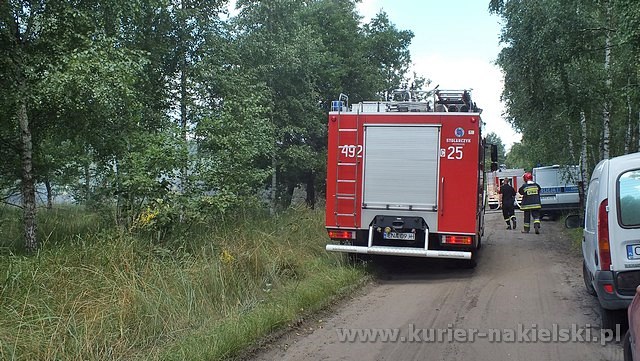 Spłonęło 10 arów poszycia leśnego w młodniku