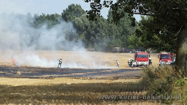 Spłonęło około 25 ha zboża na pniu