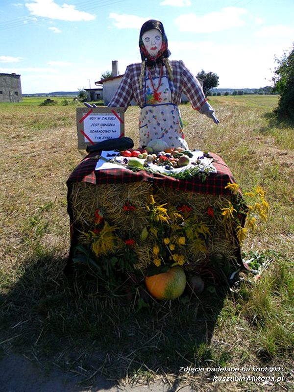 Dożynki parafialne w Szaradowie