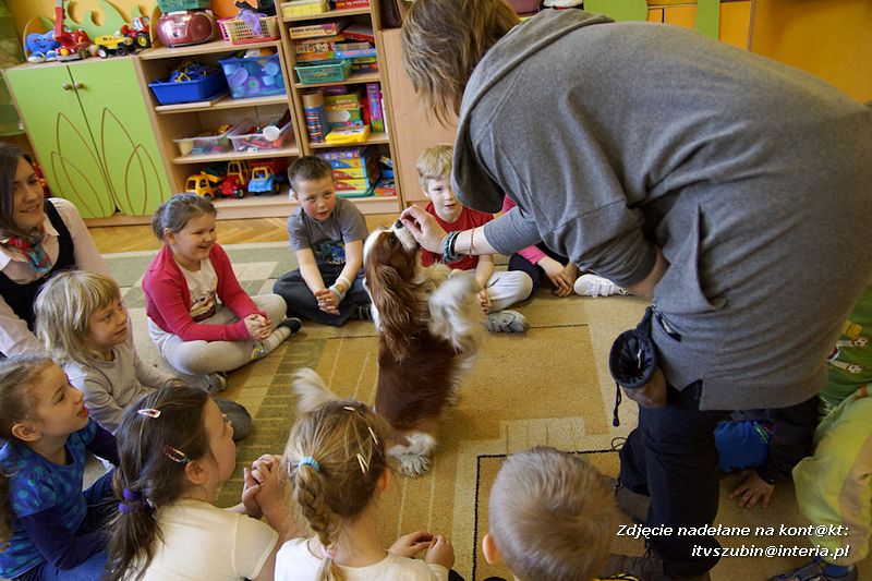 Spotkania z dogoterapeutą
