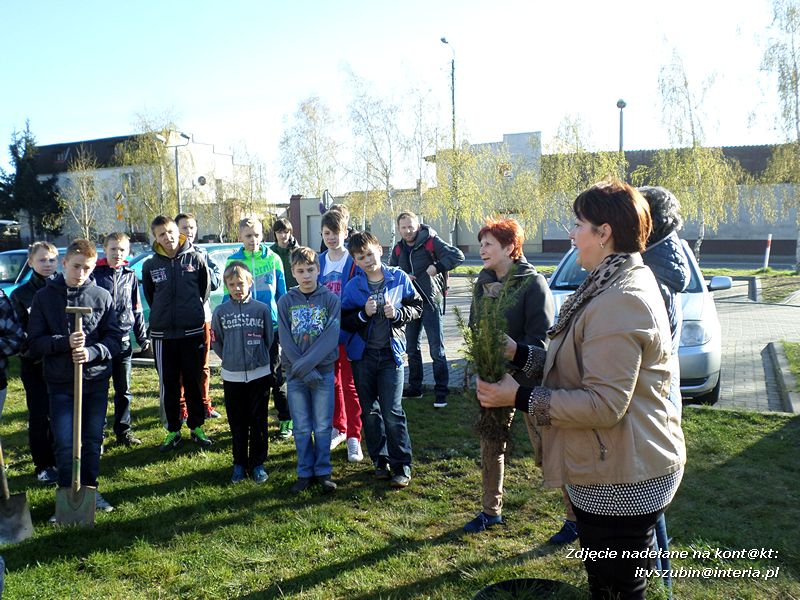 100 drzew na 100-lecie szkoły