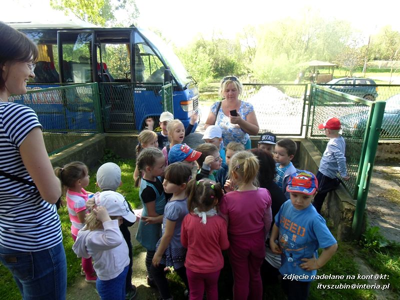 Biedroneczki z Turu w Samoklęskach Małych