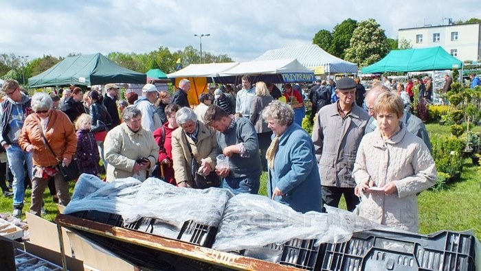 Pierwszy dzień Targów "Lato na Wsi" w Minikowie za nami
