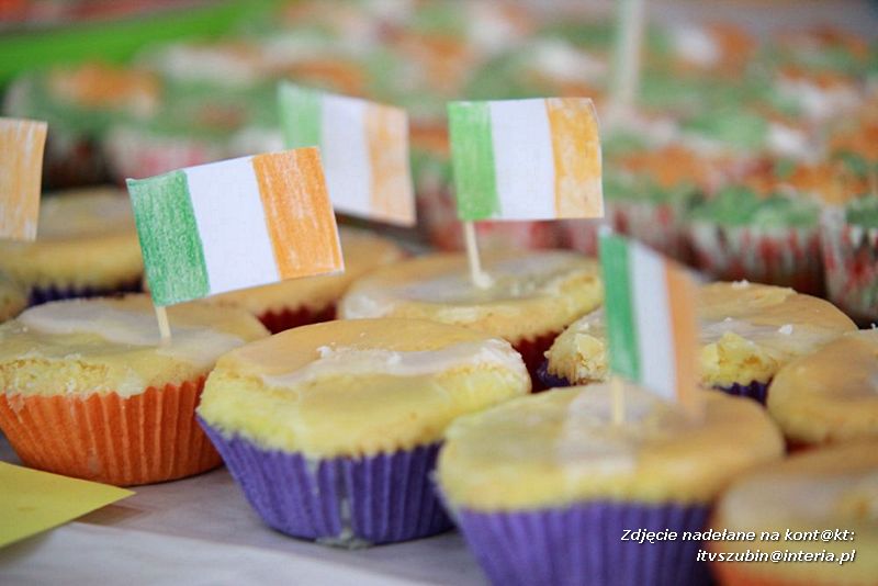 Dzień Irlandzki w Zespole Szkół w Kowalewie