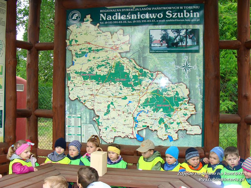 Żabki? i ?Misie? poznają las!