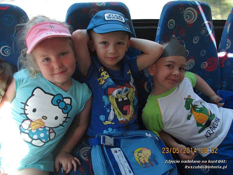 Motylki wiedzą, jak pomagać jeżom