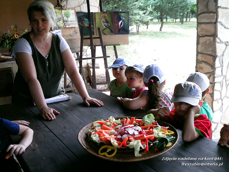 Słoneczka i Biedronki? na wycieczce w Brzózkach