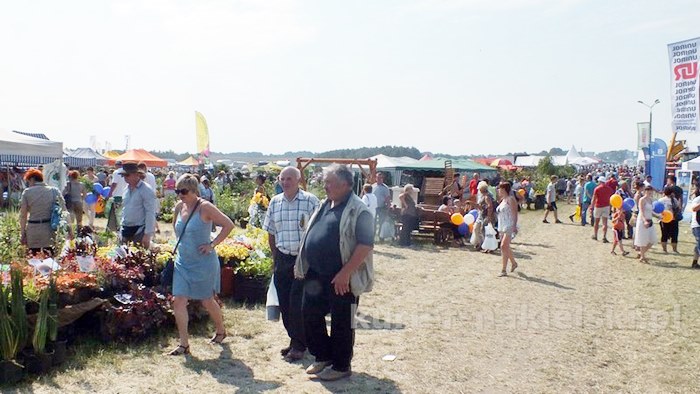Zakończyły się Targi AGRO-TECH w Minikowie