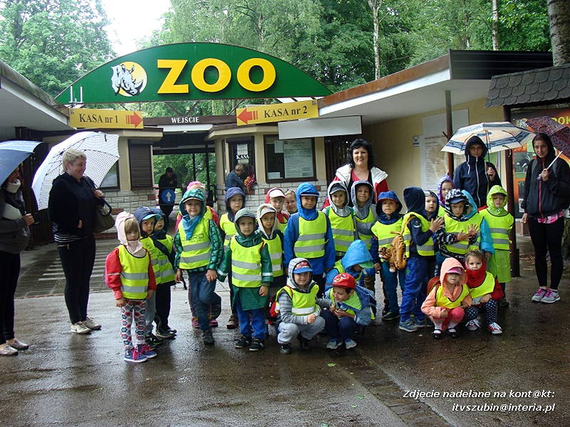 "Zuchy" ze Słoneczka w poznańskim ZOO