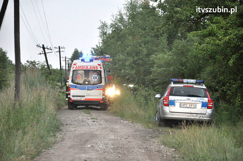 Pijany kierowca zakończył jazdę na płocie przydrożnej posesji