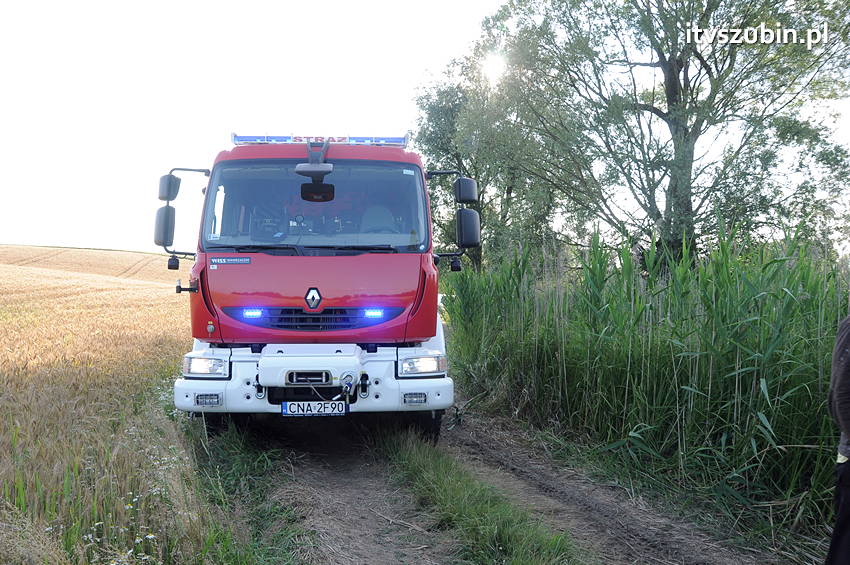 Koparką natrafił na trzy pociski