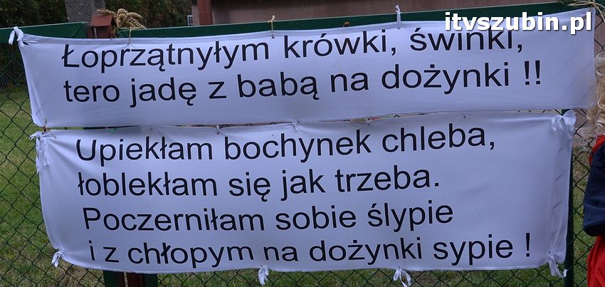 Dożynki powiatowo-gminne w Królikowie
