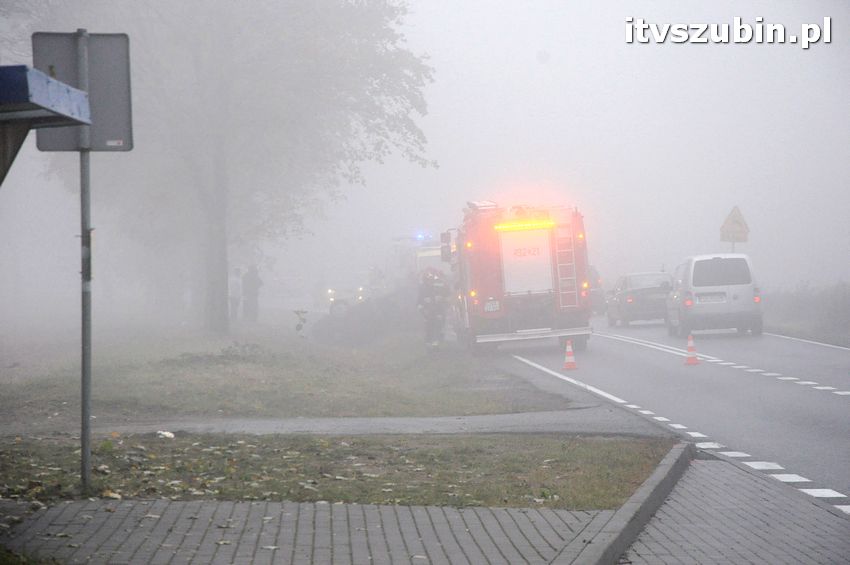 Dachowanie w Dąbrówce Słupskiej