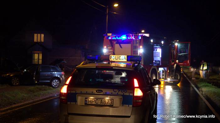 Ścinał wszystko na swojej drodze