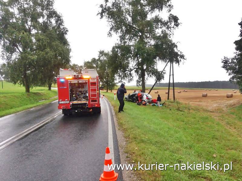 Śmiertelny wypadek pod Wieszkami [Ustalenia Policji]