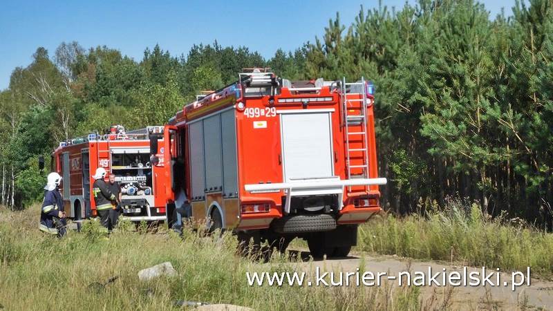 Pożar poszycia leśnego w Rozwarzynie