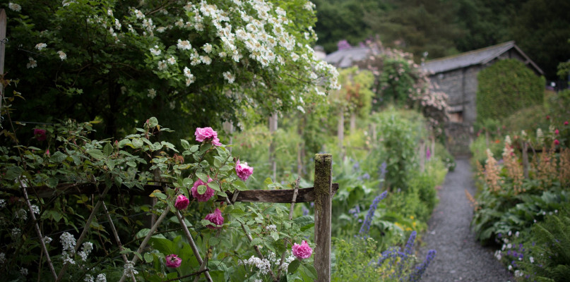 Wiejski ogród jest swobodny, romantyczny i kolorowy. 