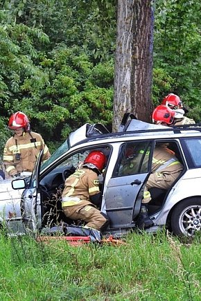 BMW uderzyło w drzewo na DW 246-6431