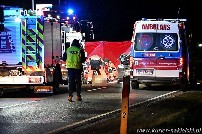 Tragiczne potrącenie na drodze wojewódzkiej nr 241 w Paterku