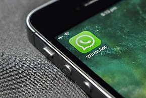 WhatsApp się zmienia. Czy aplikacja będzie płatna?-18383
