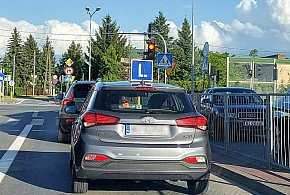 Egzamin na prawo jazdy będzie inny. Od 1 lipca nowe zasady-18406